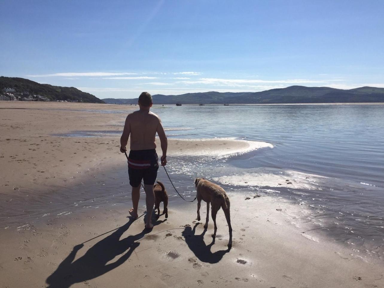 Sunny Shores Aberdyfi Exteriör bild